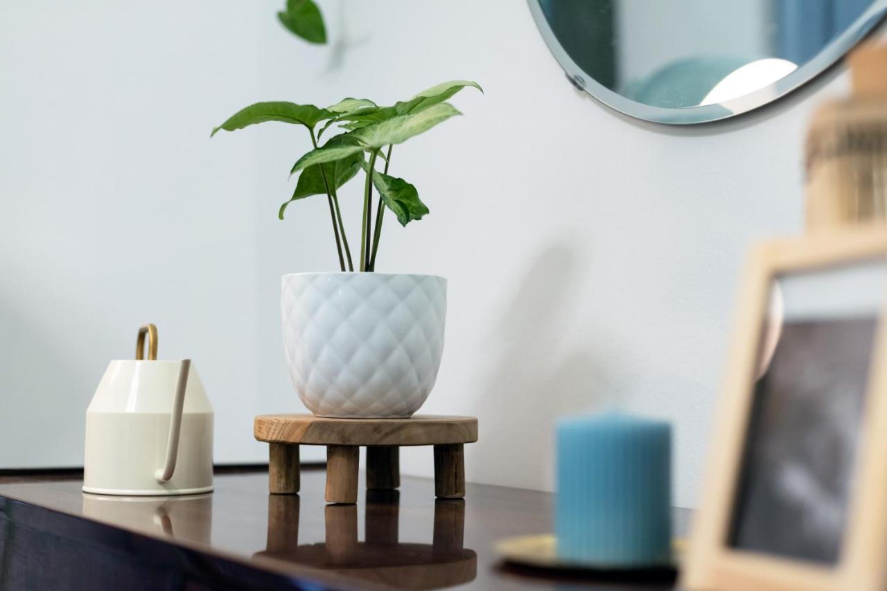 Cozy Boho Apartment, Super Central, Parliament, Netflix بودابست المظهر الخارجي الصورة